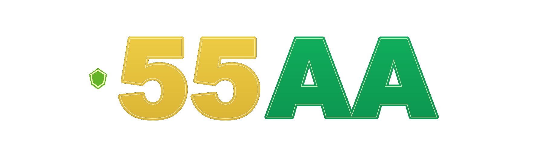 55aa